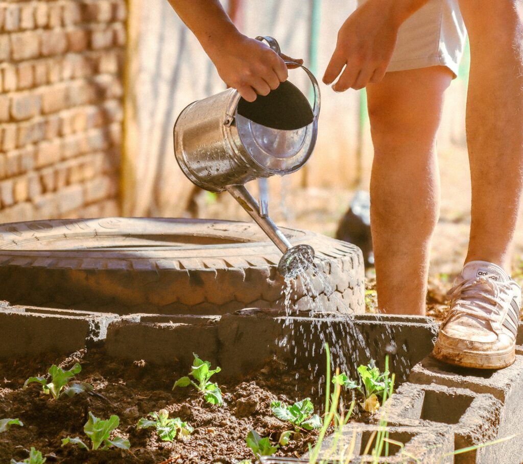 Gießkanne gießt Wasser in ein Gartenbeet als sanfte Alternative zu Blattläuse Hausmitteln
