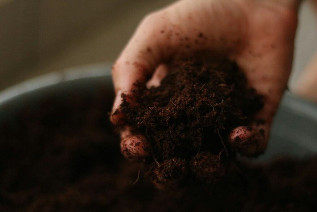 Hand hält eine Handvoll Gartenerde