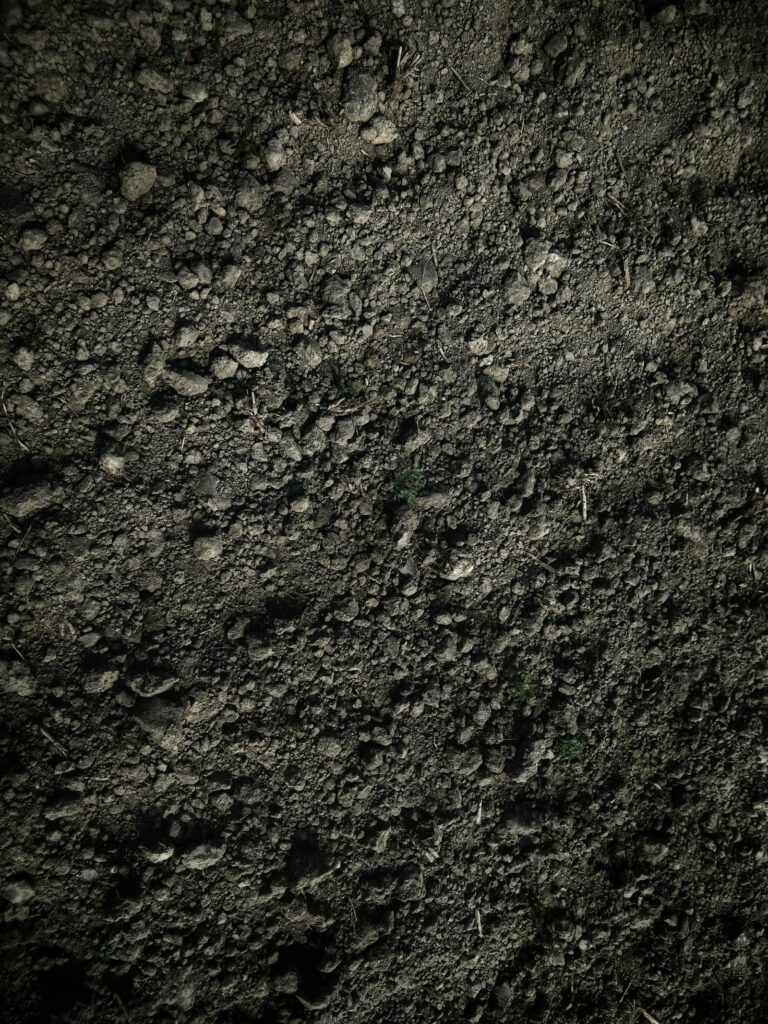 Dunkle Gartenerde mit Klumpen und Steinen – vor dem Boden pH-Wert messen sortierst du Steine aus der Probe