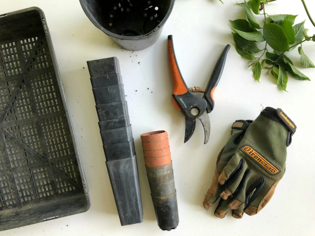 Gartenschere neben Arbeitshandschuhen