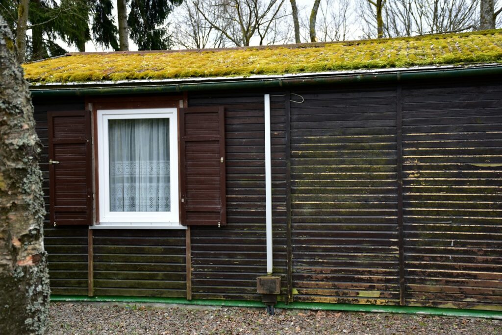 Holzhütte mit begrüntem Dach – beim Gartenhaus selber bauen lässt sich ein Gründach einplanen