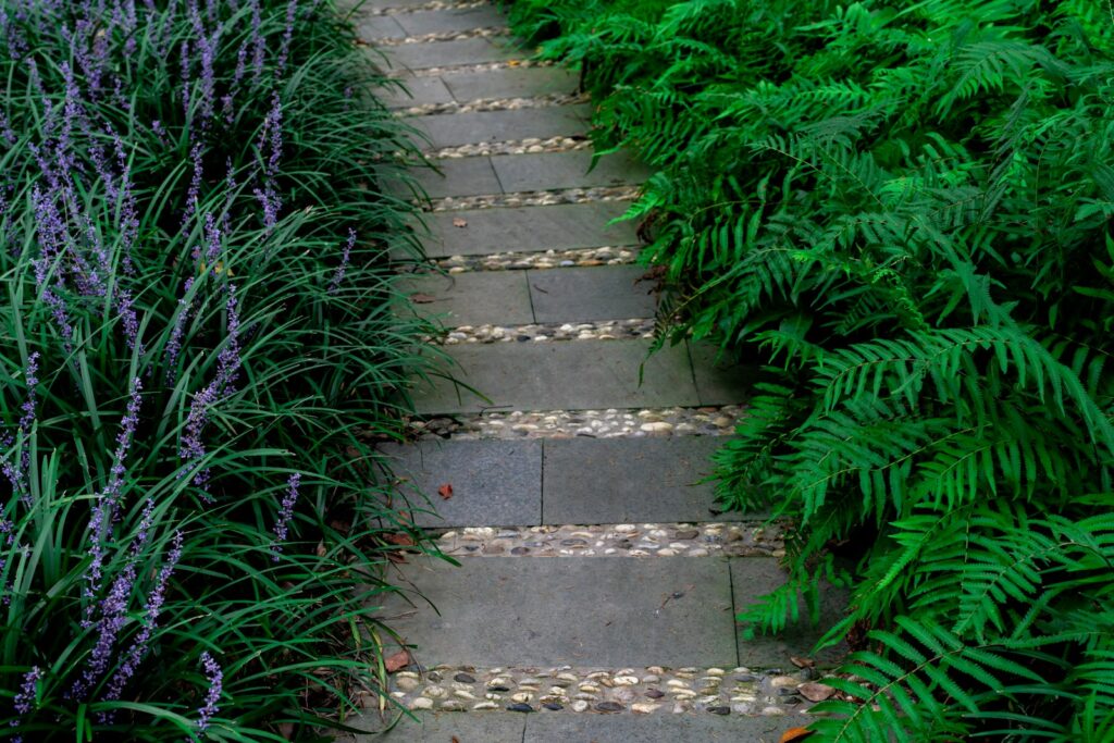Gartenweg aus Natursteinplatten zwischen Farnen und violetten Blüten