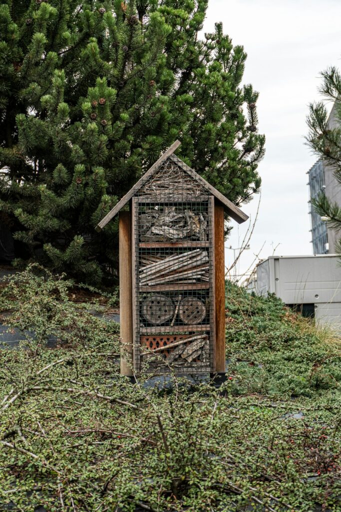 Insektenhotel aus Holz im Grünen – für ein Hummelnest sind die Röhren zu eng
