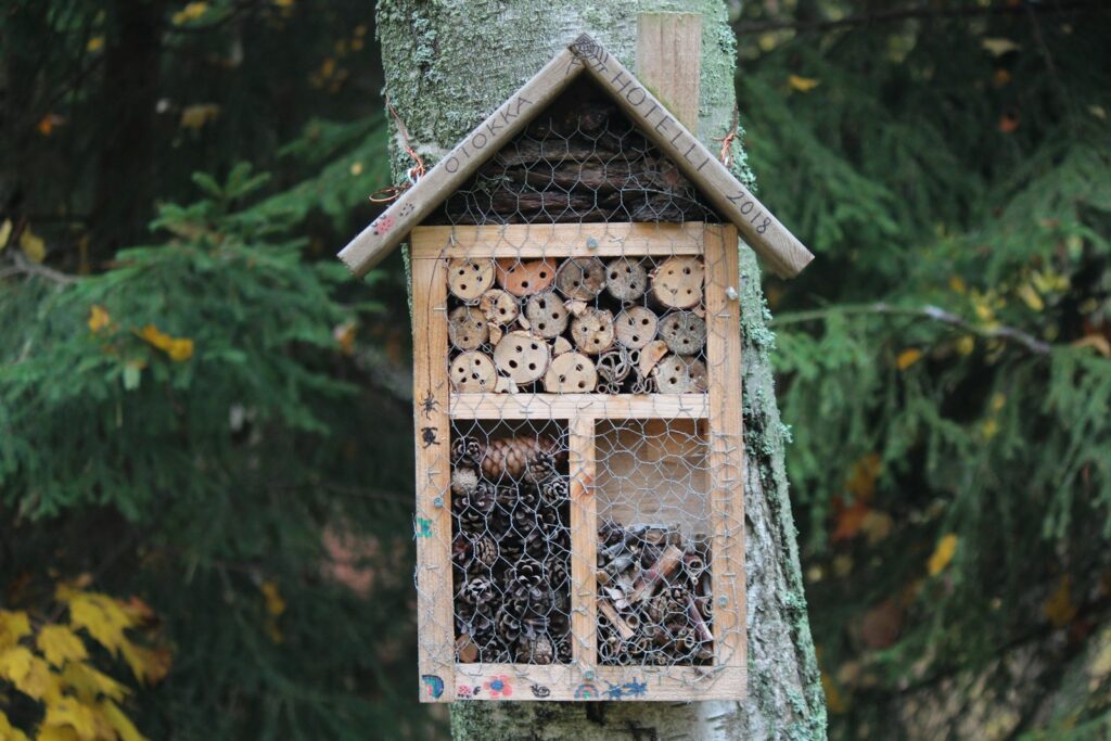Insektenhotel in einem Stadtpark – nicht jede Füllung ist eine taugliche Wildbienen Nisthilfe