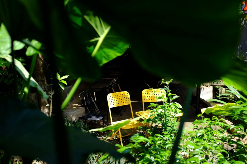 Zwei Gartenstühle zwischen grünen Pflanzen