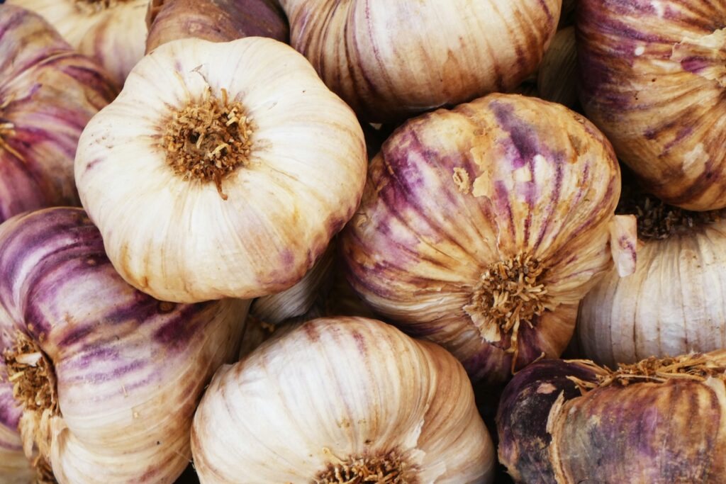 Knoblauchknollen mit einzelnen Zehen