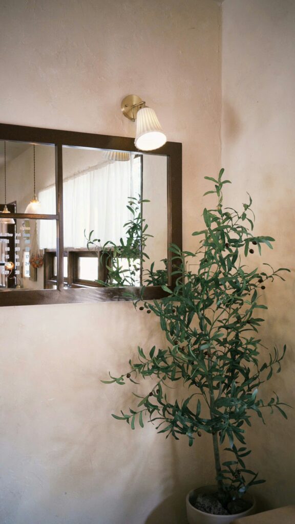 Kleiner Olivenbaum im Topf neben einem Wandspiegel: Olivenbaum überwintern im Haus braucht einen hellen Platz