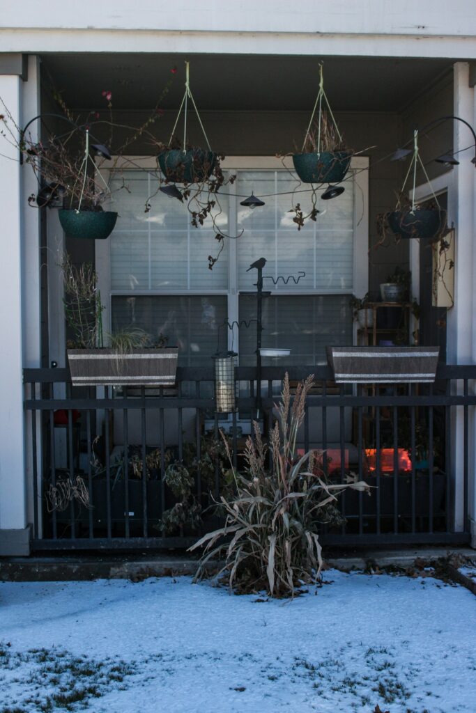 Verschneiter Balkon mit Kübeln und Pflanzen im Winter, ein Platz zum Olivenbaum überwintern im Freien