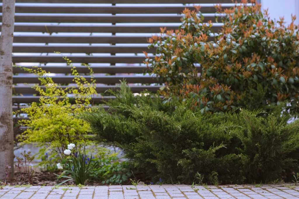 Grüne Sträucher und Stauden vor einem modernen Holzzaun – Sichtschutz im Garten Ideen für den Reihenhausgarten