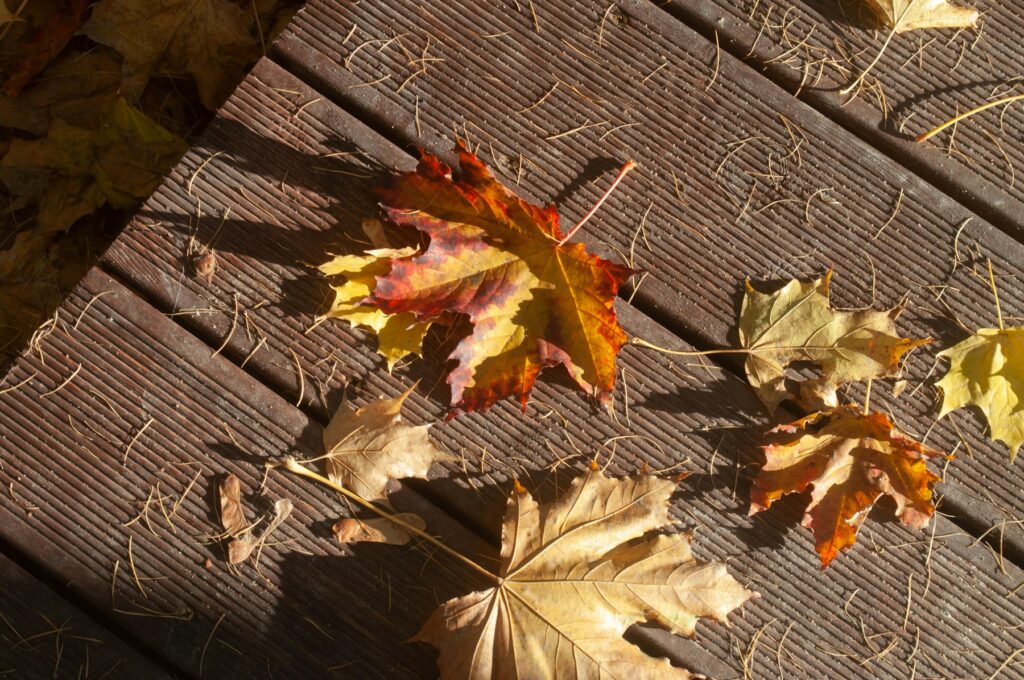 Herbstlaub auf Holzdielen einer Terrasse